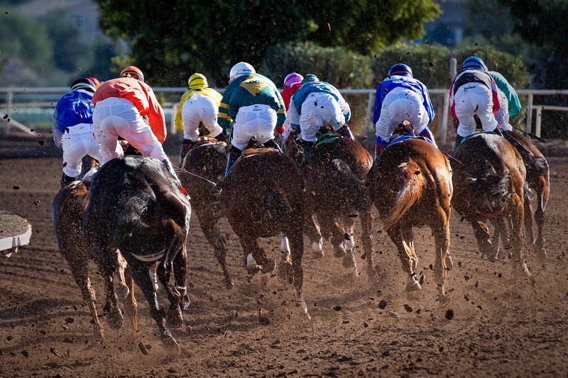 Betting on Horse Races: How to Begin and Get the Most Out of It