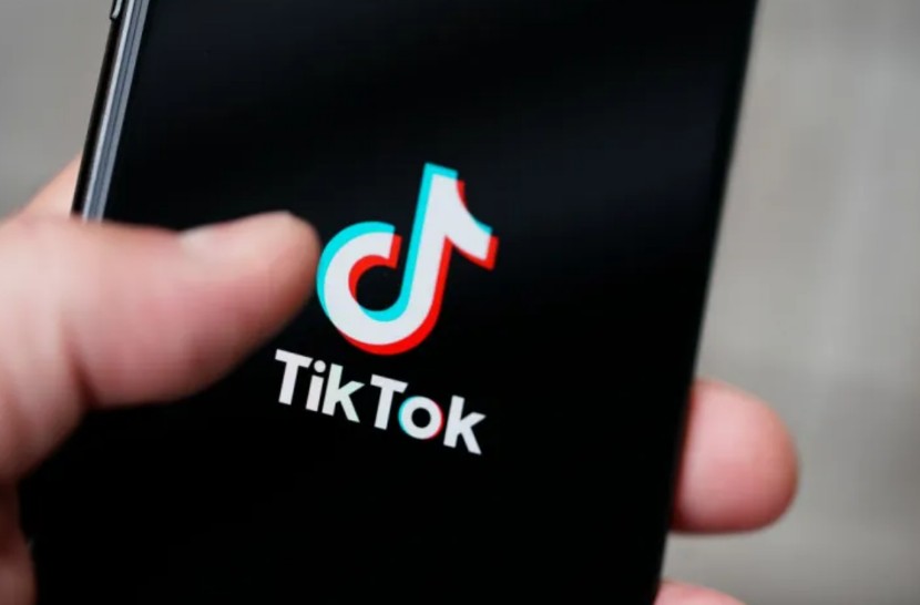 How to Download TikTok Videos on Android?