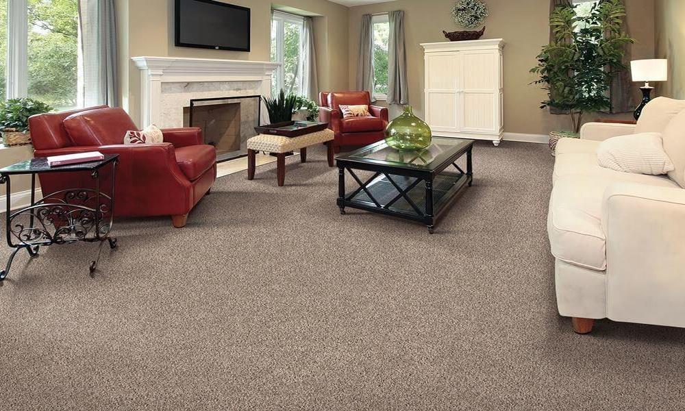 Why Wall-to-Wall Carpets Is the Reprieve We All Need Right Now?