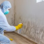 Mold Remediation Specialist