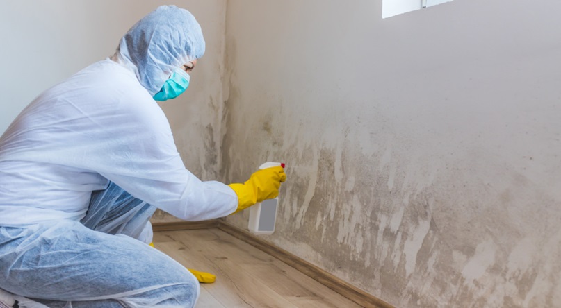 Mold Remediation Specialist