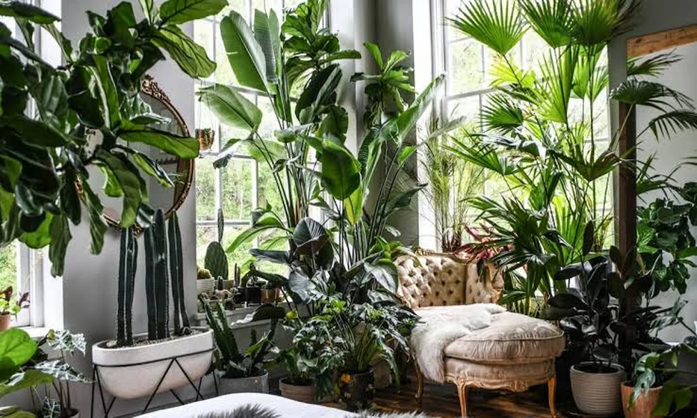 Why Interior Plant Design in Miami Improves Offices’ First Impressions